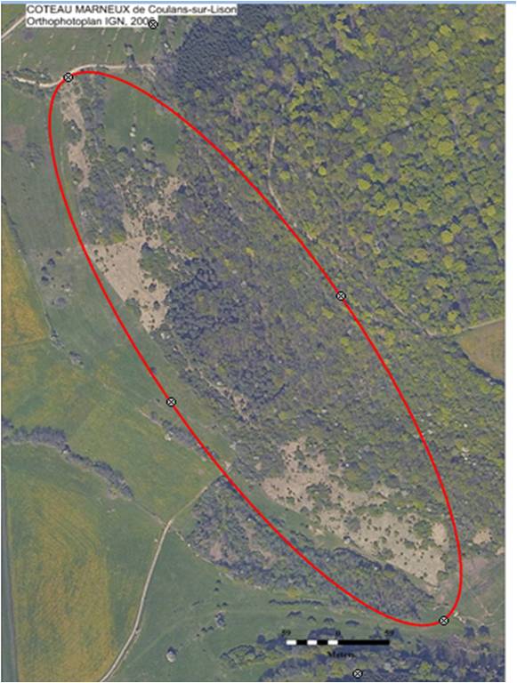 extrait d'orthophotoplan IGN, reproduction interdite