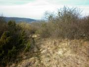 Pelouse sèche avec fort recouvrement ligneux
