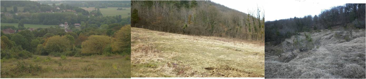 Secteurs de pelouses maigres